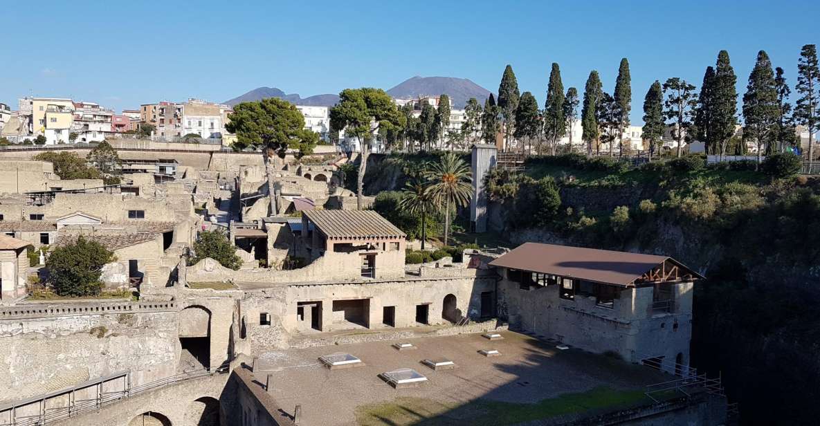 Naples: Skip-the-line Herculaneum and Vesuvius Day Trip - Reservation and Cancellation Policy