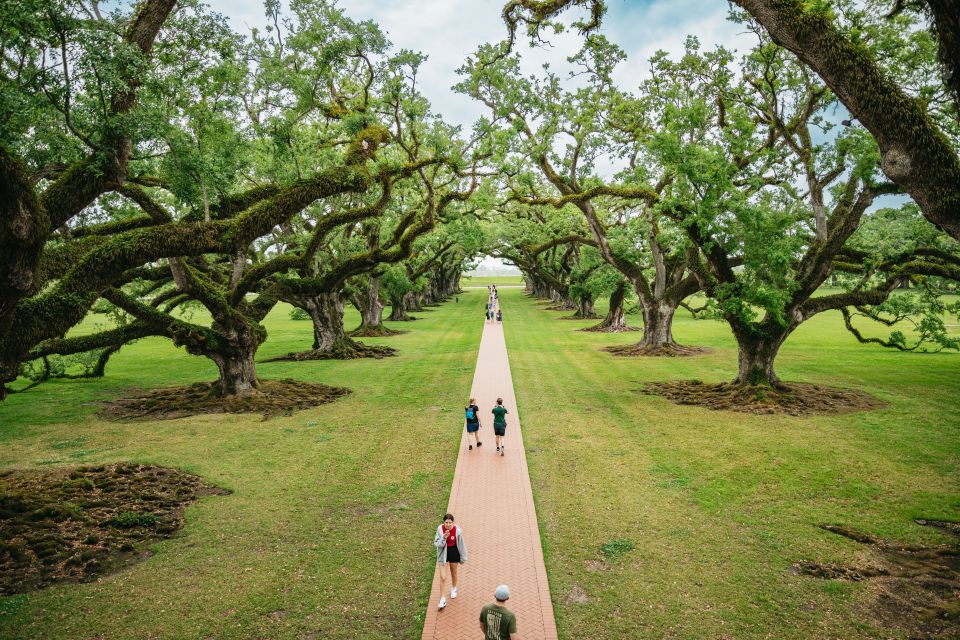 New Orleans: Oak Alley Plantation and Swamp Cruise Day Trip - Pickup and Drop-off Locations