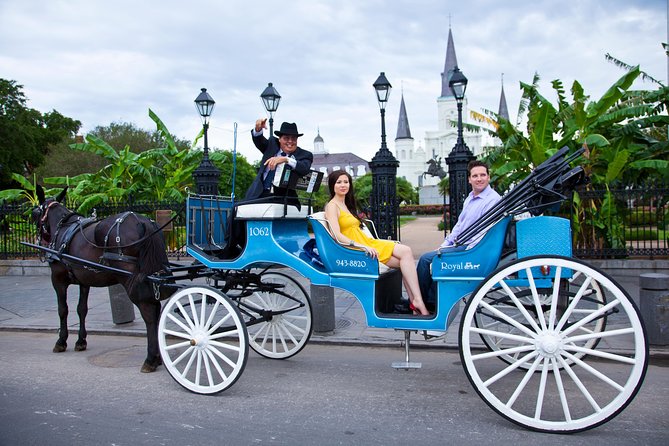 New Orleans Private Carriage Tour of the French Quarter - Additional Info