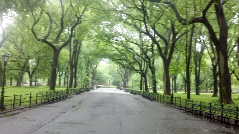 New York City: Central Park Walking Tour - Iconic Landmarks and Sites