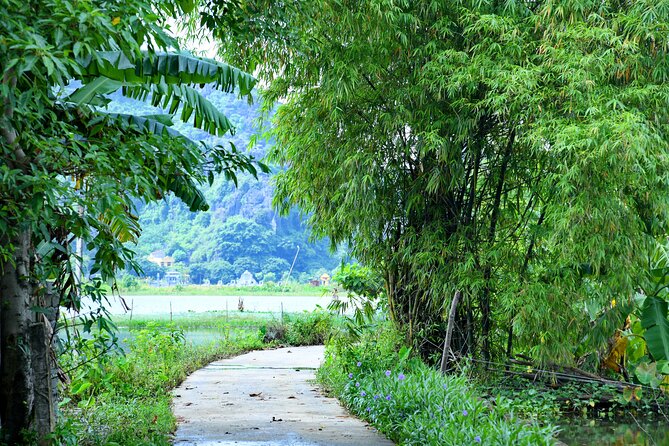 Ninh Binh 2 Days 1 Night Tour From Hanoi (Small Group of 9) - Health Considerations