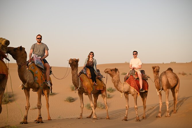 Non-Touristic Overnight Camel Safari With Stargazing Hidden Tour in Desert - Meet and Pick-up Details