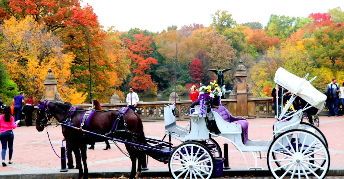 NYC: Central Park Horse-Drawn Carriage Ride (up to 4 Adults) - Booking Information