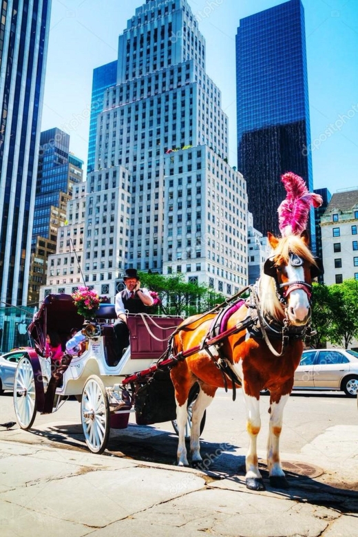 NYC:Guided Central Park Horse Carriage Ride - Tranquil Urban Oasis