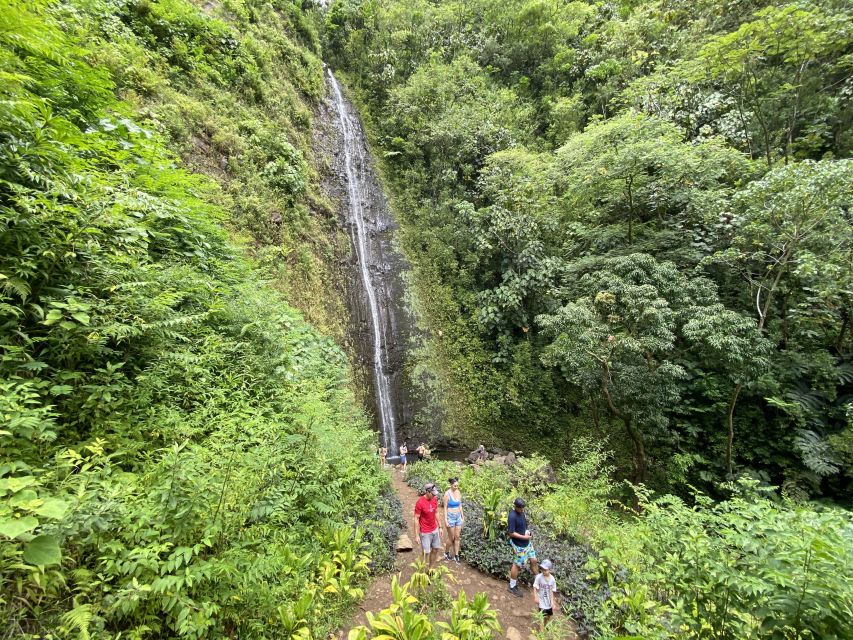 Oahu: Manoa Valley Private Hiking Trip & Waterfall - Inclusions