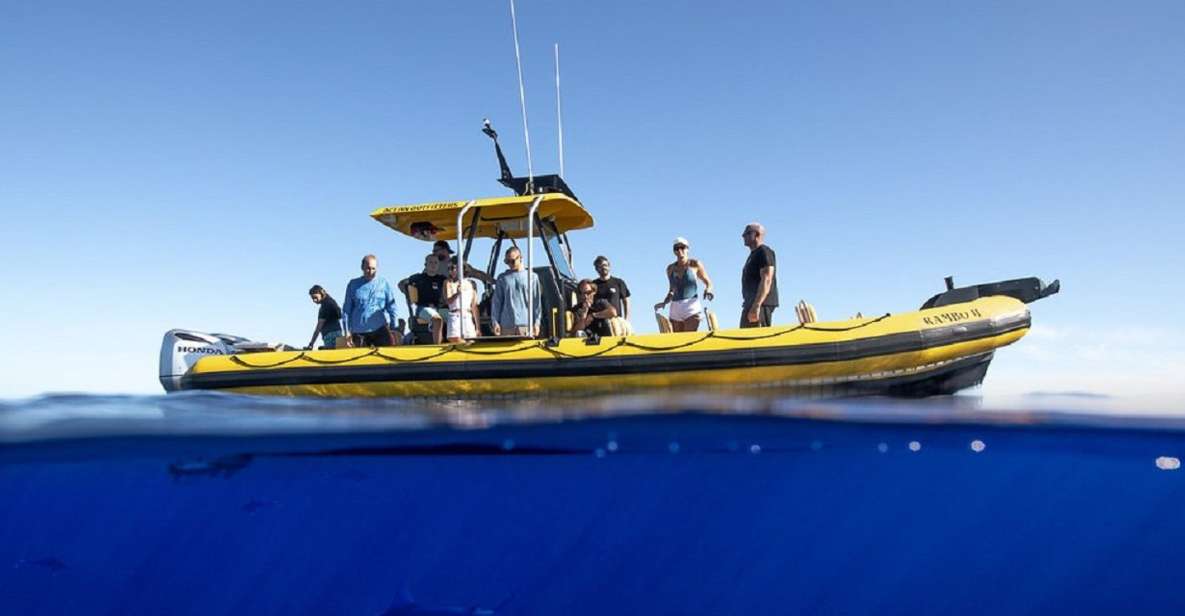 Oahu: North Shore Marine Life Tour From Haleiwa - Departure Location and Time