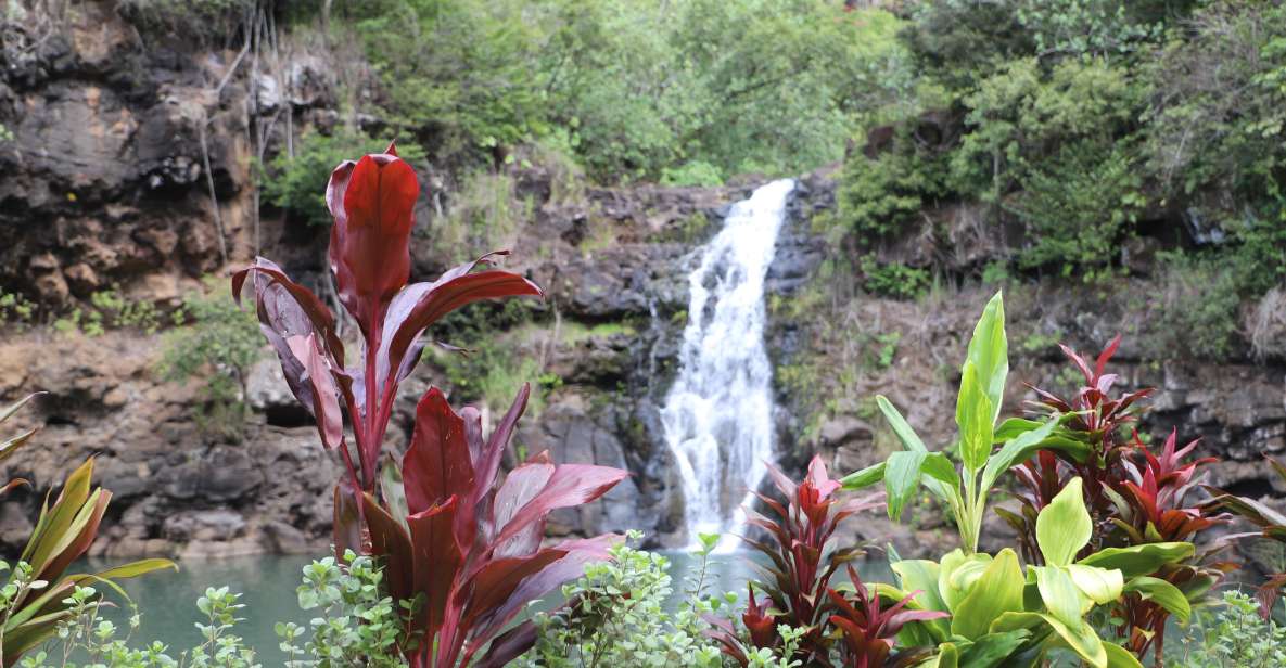 Oahu: Valley of Waimea Falls Swim & Hike With Lunch & Dole - Inclusions and Exclusions