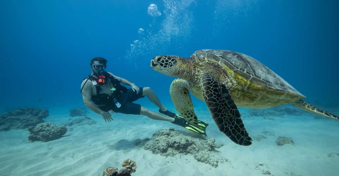 Oahu: Waikiki Discovery Scuba Diving for Beginners - Participant Requirements