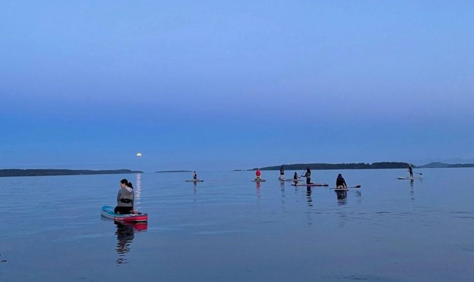 Oak Bay: Full Moon Paddle Experience - Viewing the Full Moon