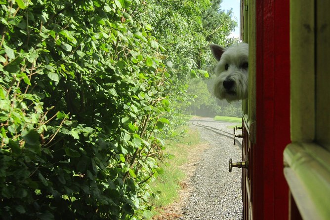 Oakfield Park Day Pass and Train Ride - Experiencing the Parks Train Ride
