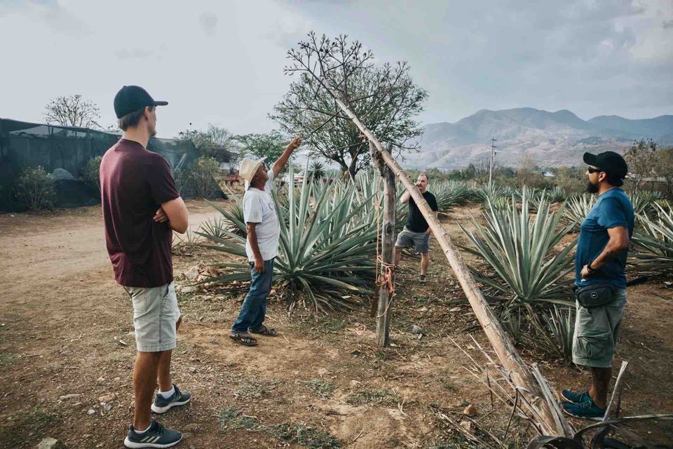 Oaxaca: Crafts & Cuisine Culture Tour - Pottery Studio Techniques