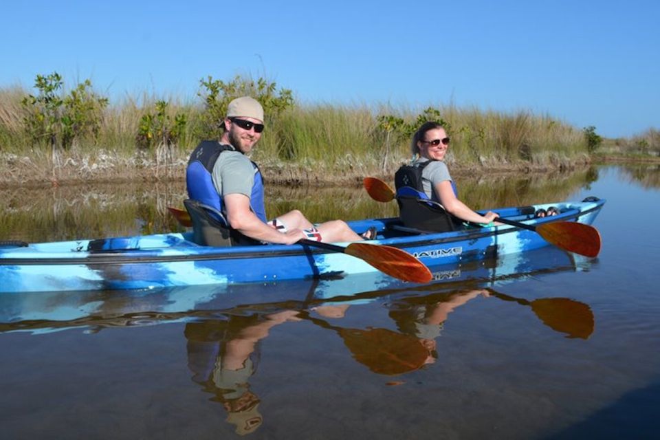 Ochopee: Half-Day Mangrove Tunnel Kayak Tour - What to Expect