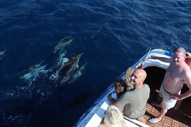Odyssee 3: The Glass Bottom Boat Tour in Fuerteventura - Snorkeling and Beach Relaxation