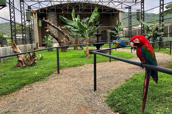 Official Ticket Zoo of the Birds - Poços De Caldas - Location and Access