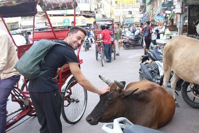 Old Delhi Food Tour Safari - The Capital of Flavors - Inclusions and Exclusions