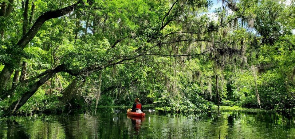 Old Florida Backwater Kayak Adventure Near St. Augustine - Exploring Deep Creek