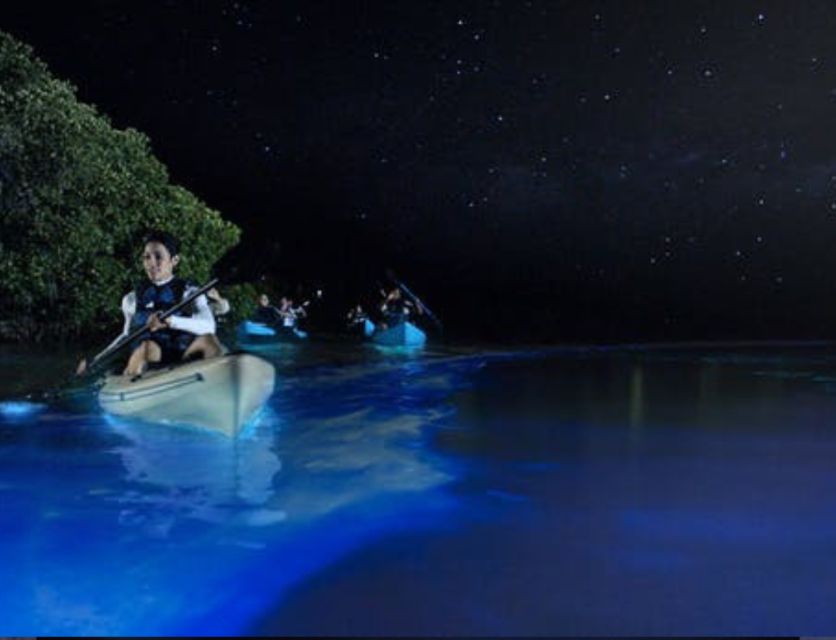 Orlando: Bioluminescence Clear Kayaking or Paddleboarding - Inclusions and Equipment