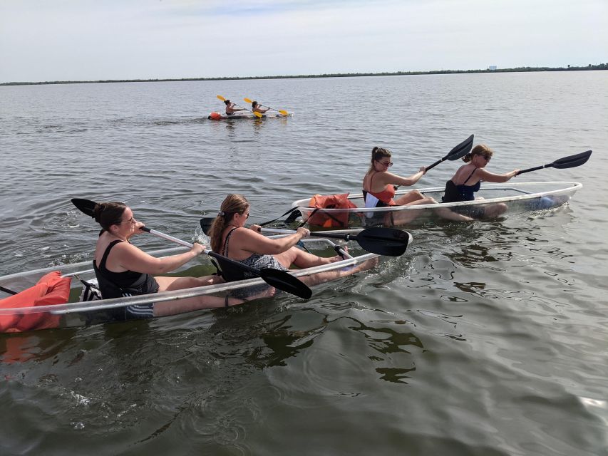 Orlando: Dolphin Clear Kayak or Paddle Board Adventure - Included in the Experience