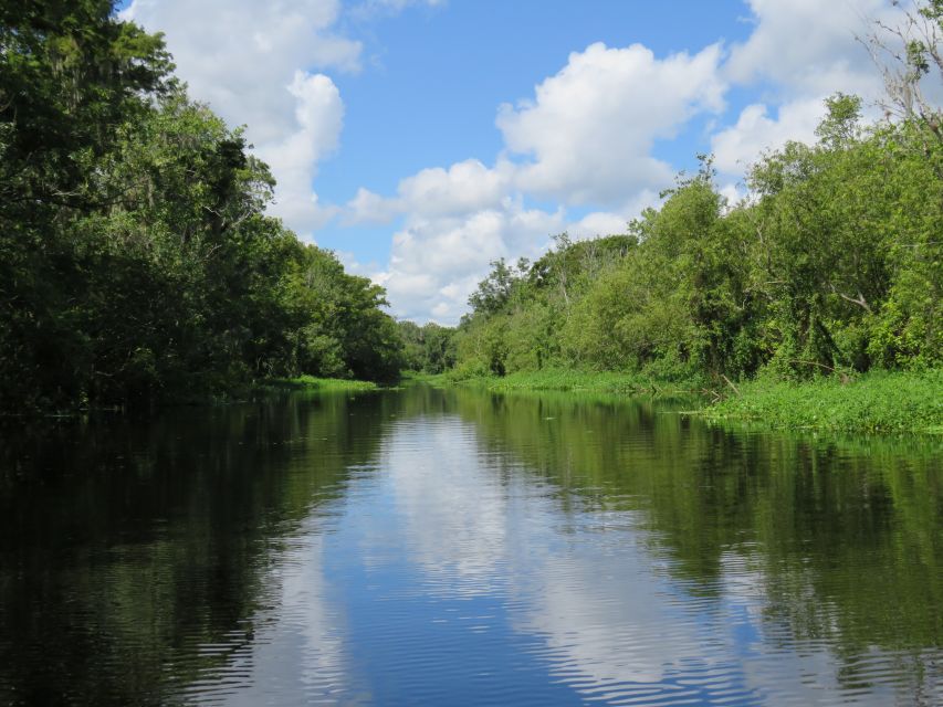 Orlando: Small Group Manatee Discovery Kayak Tour - Highlights of the Experience