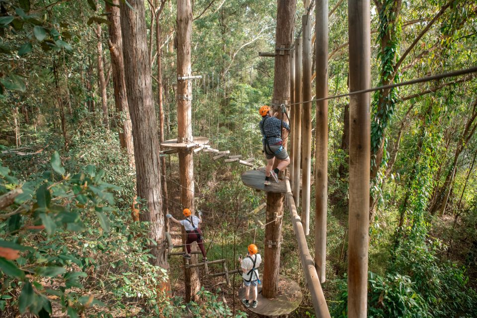 Ourimbah: Central Coast Treetops Adventure Tree Ropes Course - Activity Duration and Instructor