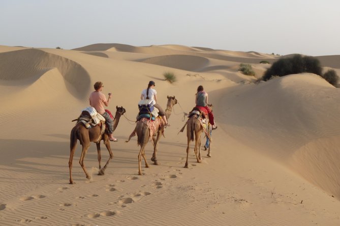 Over Night Desert Adventure Camel Safari - Meeting Point and Pickup Details