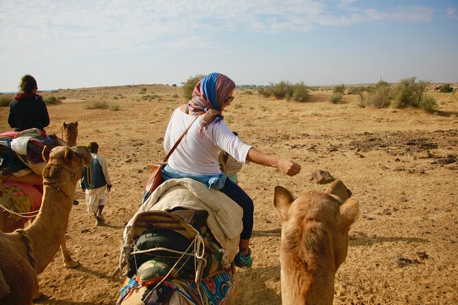 Overnight Camel Safari - Sleeping Under the Stars - Camel Rides and Desert Camp