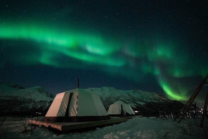 Overnight Stay With Reindeer Sledding & Feeding - Sami Cultural Presentation