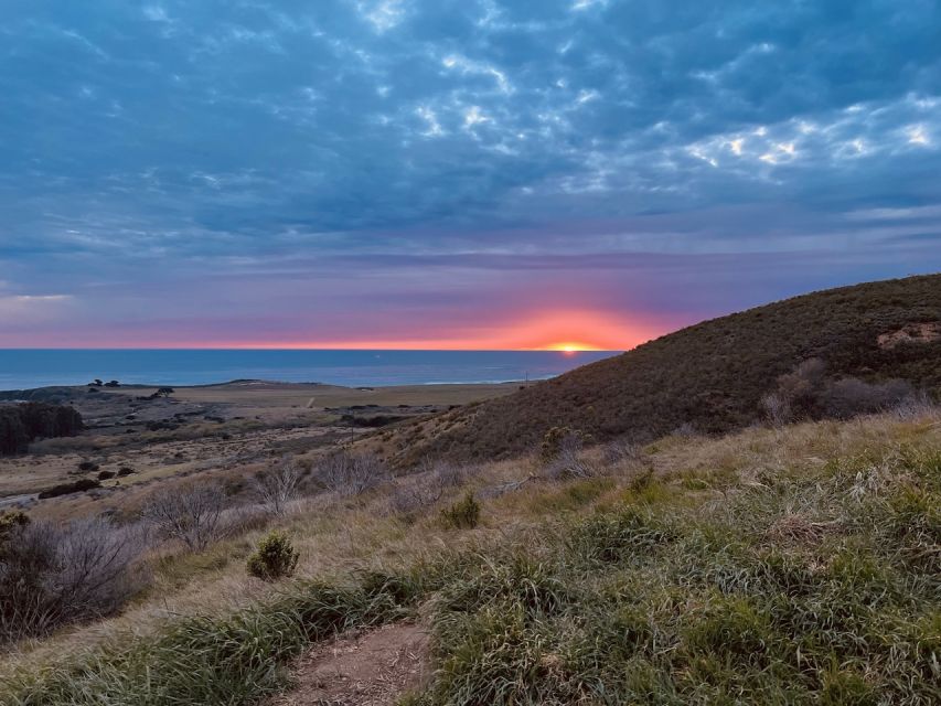 Pacific Grove: Old Coast Road E-Bike Tour - Pricing Information