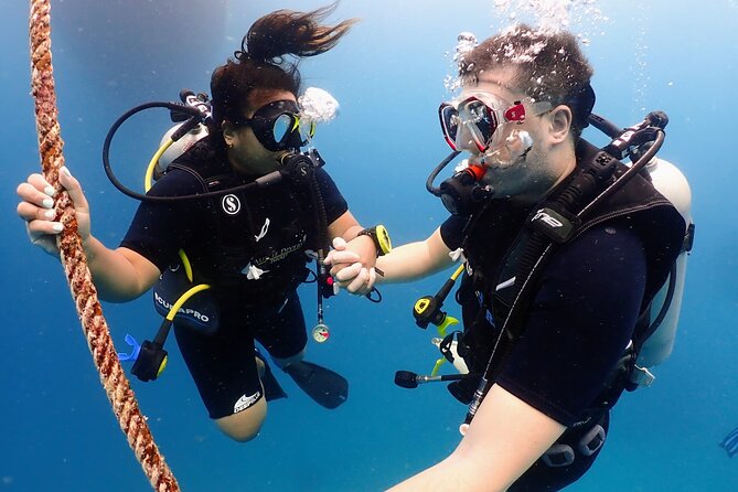PADI Discover Scuba Diving for Beginners (Non Certified Divers) - Inclusions and Amenities