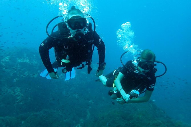PADI Discover Scuba Diving in Koh Tao - Half Day and Two Dives - Try SCUBA Diving Equipment
