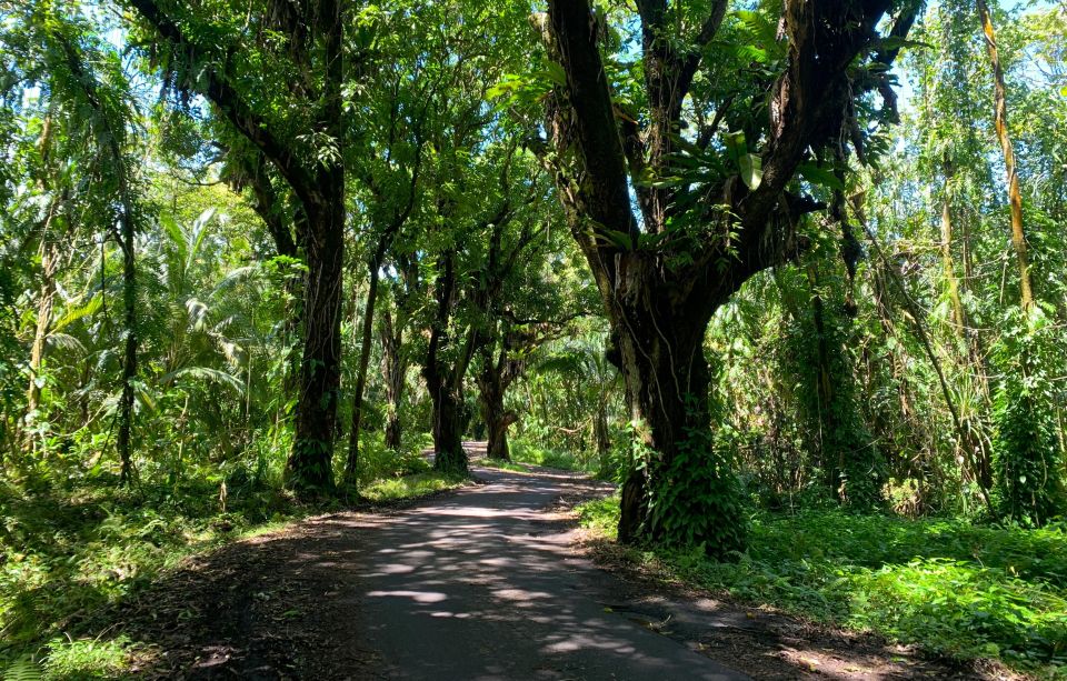 Pahoa: Short Private Hike To Secret Jungle Tide Pool - Itinerary