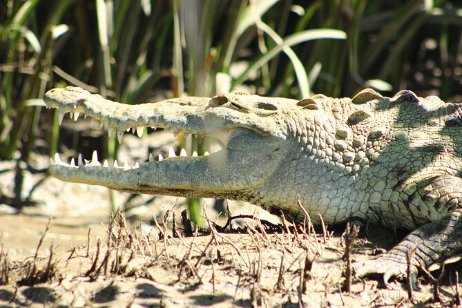 Palo Verde Boat Tours, Ortega - Detailed Inclusions and Amenities