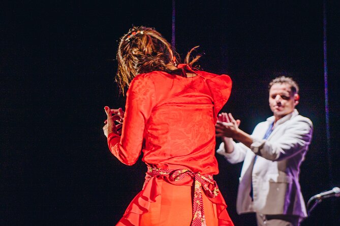 Passion: The Story of the Flamenco Show in Marbella - Experiencing Raw Flamenco Emotions