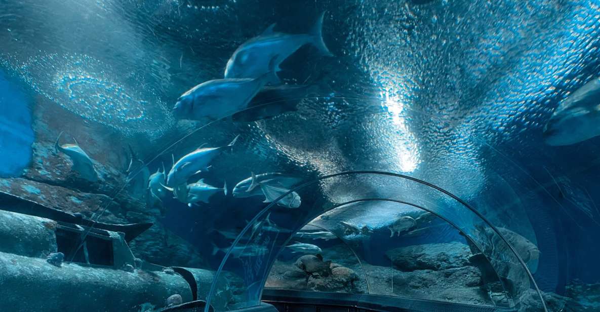 Pattaya: Underwater World Pattaya Aquarium Admission Ticket - Highlights of the Aquarium