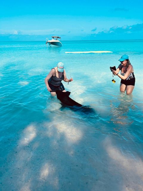 Perfect Day - Swimming Pigs, Snorkel & Beach Club - Included in the Activity