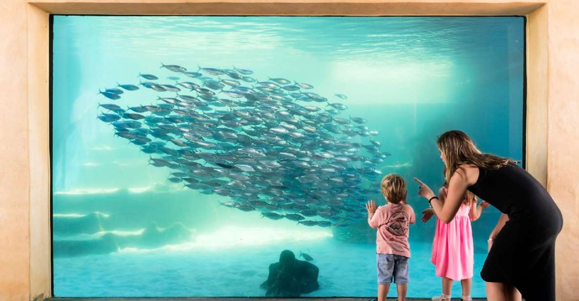 Perth: AQWA Aquarium of Western Australia Entry Tickets - Experience Highlights and Activities
