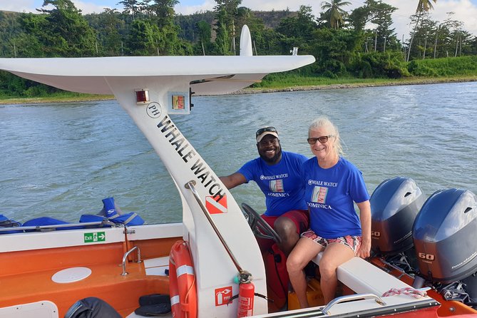 PH Whale Watch & Dolphin Cruise in Dominica - Contact Information for Inquiries