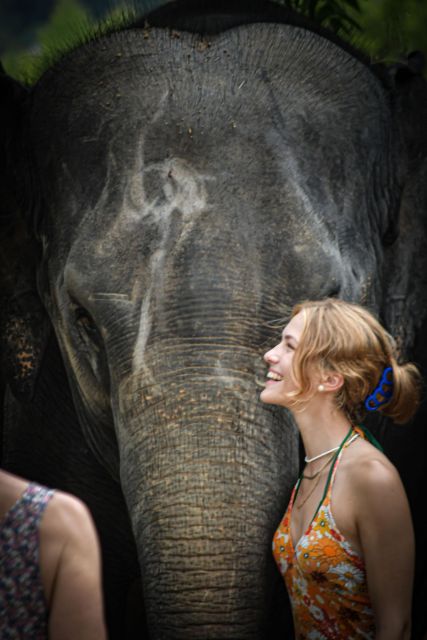 Phuket: Elephant Jungle Sanctuary Half-Day Visit With Meal - Included Experiences