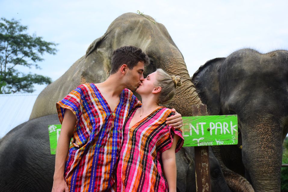 Phuket: Elephant Save & Care Program Tour - Elephant Sanctuary Visit