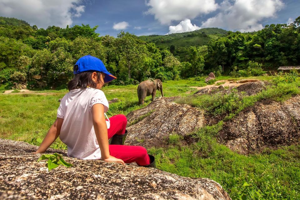 Phuket: Ethical Elephant Nature Park Visit With Lunch - Highlights and Inclusions