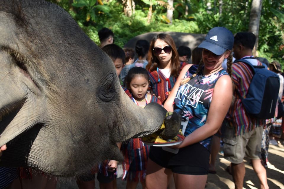 Phuket: Half Day or 2-Hour Ethical Elephant Care Sanctuary - Interaction With Elephants