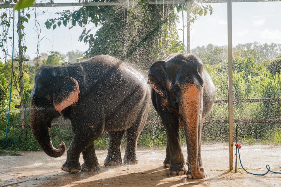 Phuket: Phuket Elephant Care Sanctuary ECO Tour - Highlights of the Tour