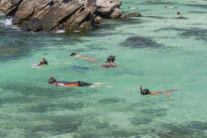 Phuket to Phi Phi Islands by Speedboat - Highlights of the Tour