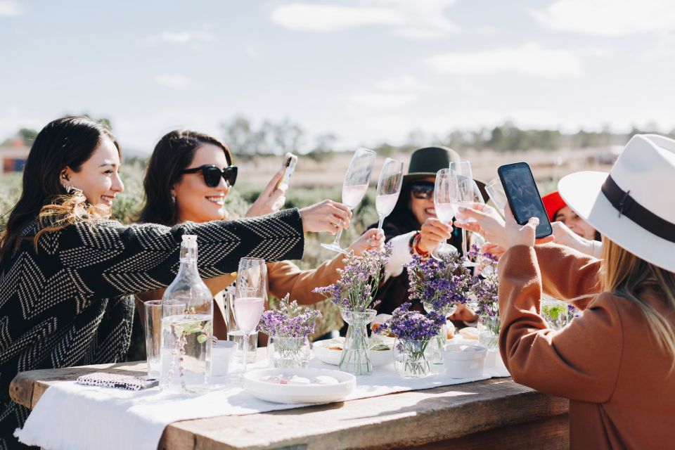 Picnic Among Lavender - Indulging in Lavender Liqueur and Wine