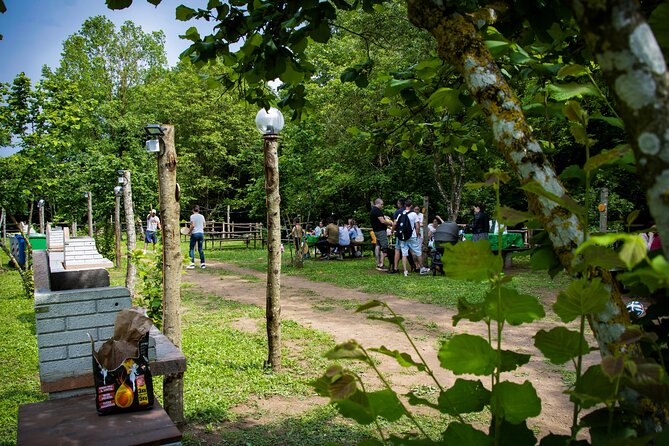 Picnic Area With Barbecue Equipment in Capranica (Vt) - Services Provided