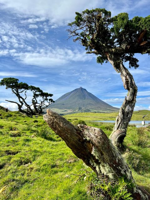 Pico, Azores: Highlights Tour With Wine Tasting and Picnic - Viewpoint and Lagoon