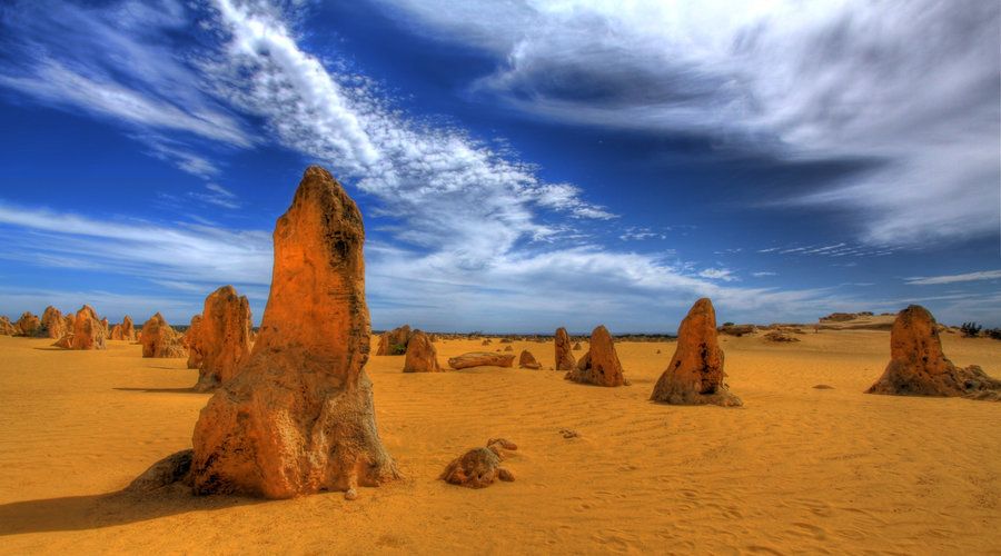 Pinnacles, Koalas & Sandboarding Tour Day Trip From Perth - Included Activities and Pickup Locations