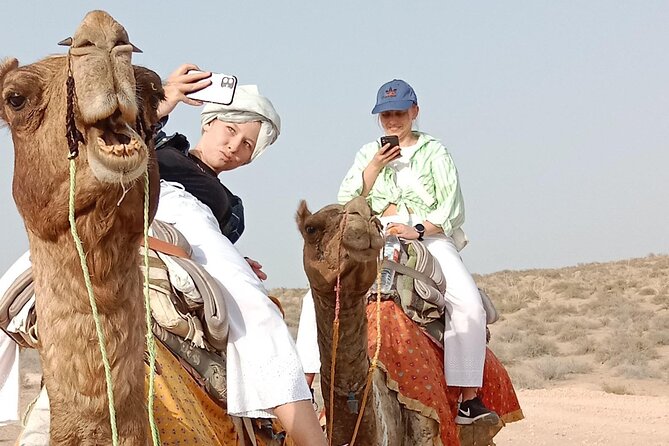 Pleasant Non-Touristic Overnight Camel Safari (From 2:00 PM to Approx. 10:30AM) - Pickup and Meeting Point