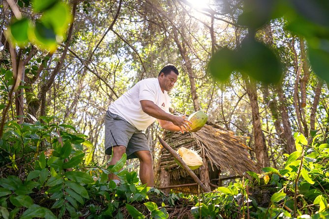 Polynesian Cultural ATV Tour - Booking Details