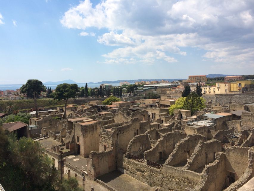 Pompeii & Herculaneum Private Skip-The-Line Tour With Ticket - Highlights of the Tour